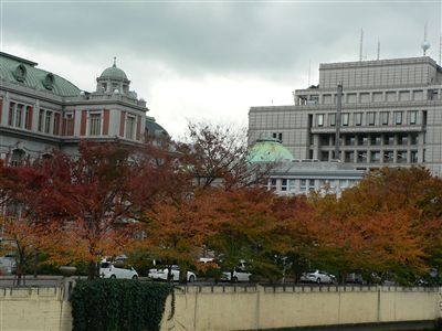 紅葉 036_t