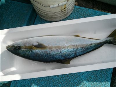 IMG00195_R
