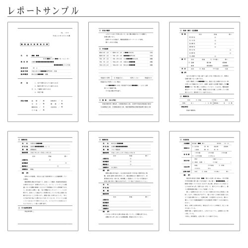 レポートサンプル
