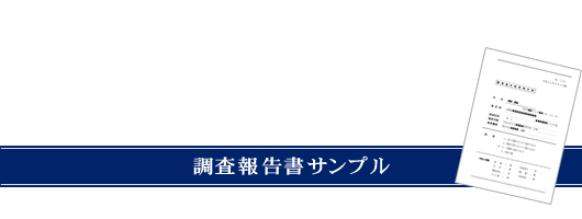 調査報告書サンプル